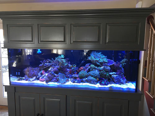 Custom made outlet aquarium decorations